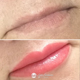Perma Blend - Evenflo Lip Box Set