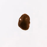 Brow Code x Li Pigments - Bronze