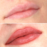 Perma Blend - Evenflo Lip Box Set