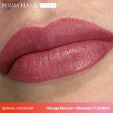 Perma Blend - Luxe Pigments - Vinatge Maroon
