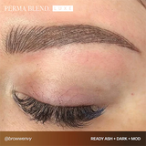 Perma Blend Luxe - Ready Ash