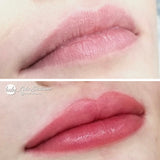 Perma Blend - Evenflo Lip Box Set