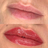 Perma Blend - Evenflo Lip Box Set
